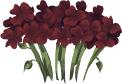 https://us.ohmydollz.com/img/big/213479.png