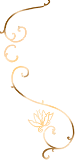 https://us.ohmydollz.com/img/big/213532.png
