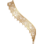 https://us.ohmydollz.com/img/thumb/211683.png