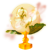 https://us.ohmydollz.com/img/thumb/213266.png